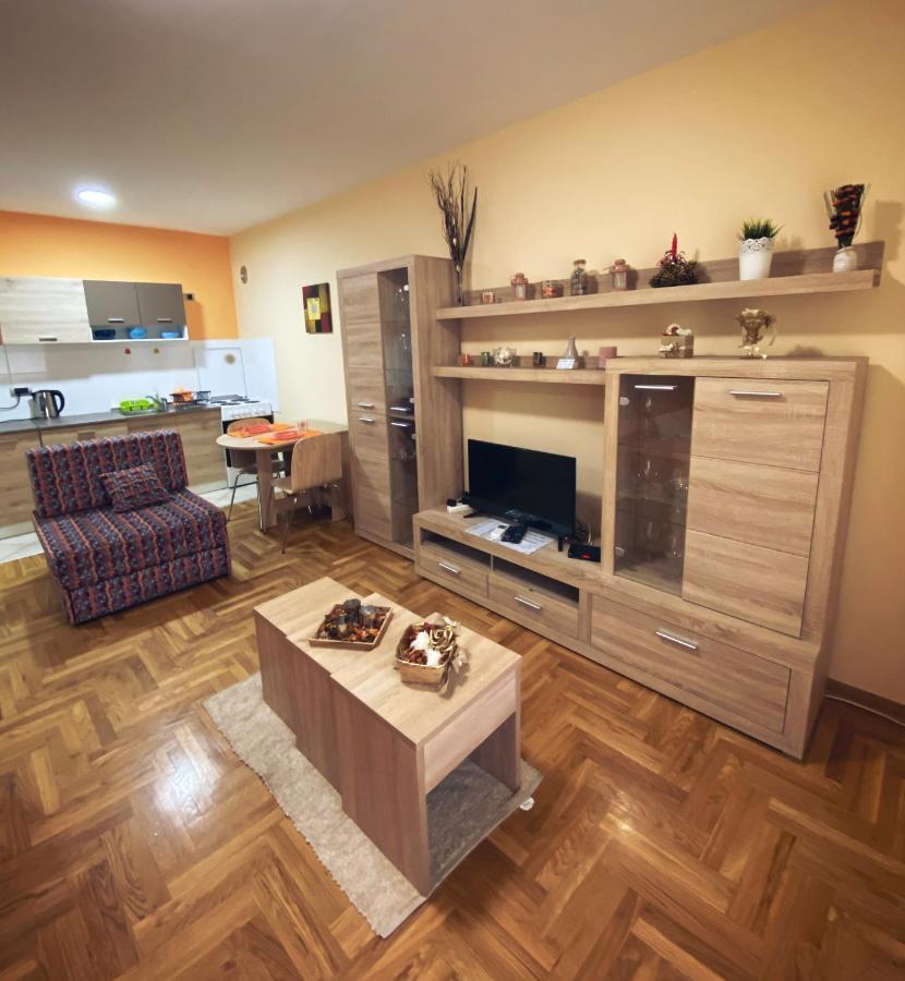 Apartment Vas Raj Novi Sad Extérieur photo